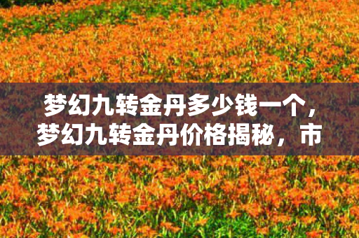 梦幻九转金丹多少钱一个,梦幻九转金丹价格揭秘,市场行情、作用及购买建议 梦幻九转金丹多少钱一个,梦幻九转金丹价格揭秘,市场行情、作用及购买建议