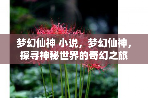 梦幻仙神 小说，梦幻仙神，探寻神秘世界的奇幻之旅