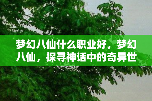 梦幻八仙什么职业好，梦幻八仙，探寻神话中的奇异世界