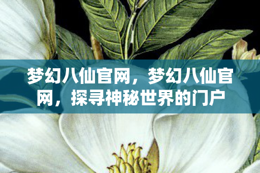 梦幻八仙官网，梦幻八仙官网，探寻神秘世界的门户