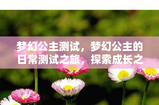 梦幻公主测试，梦幻公主的日常测试之旅，探索成长之路的无尽可能