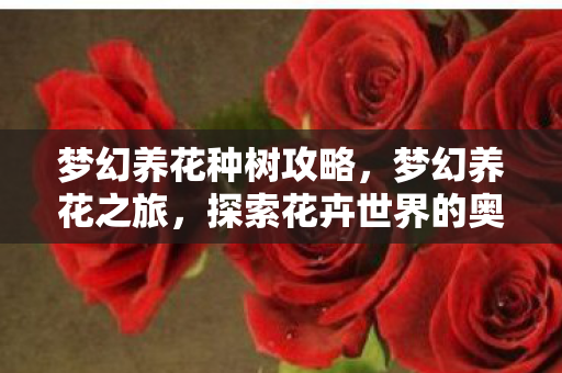梦幻养花种树攻略，梦幻养花之旅，探索花卉世界的奥秘与魅力