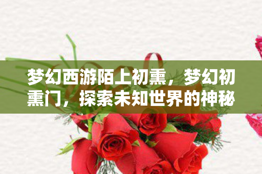 梦幻西游陌上初熏，梦幻初熏门，探索未知世界的神秘之门