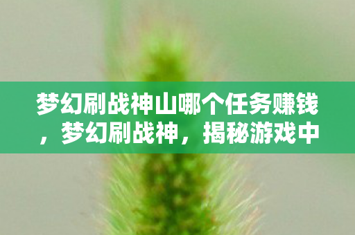 梦幻刷战神山哪个任务赚钱，梦幻刷战神，揭秘游戏中的荣耀与策略