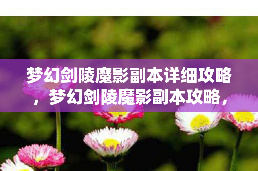 梦幻剑陵魔影副本详细攻略,梦幻剑陵魔影副本攻略,探索神秘之地,挑战未知敌人 梦幻剑陵魔影副本详细攻略,梦幻剑陵魔影副本攻略,探索神秘之地,挑战未知敌人