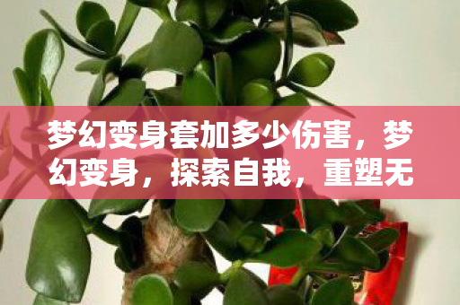 梦幻变身套加多少伤害,梦幻变身,探索自我,重塑无限可能 梦幻变身套加多少伤害,梦幻变身,探索自我,重塑无限可能