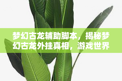 梦幻古龙辅助脚本,揭秘梦幻古龙外挂真相,游戏世界的虚假诱惑与真实风险 梦幻古龙辅助脚本,揭秘梦幻古龙外挂真相,游戏世界的虚假诱惑与真实风险