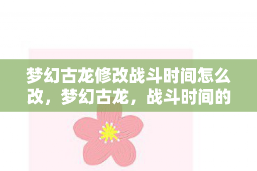 梦幻古龙修改战斗时间怎么改，梦幻古龙，战斗时间的修改与探索