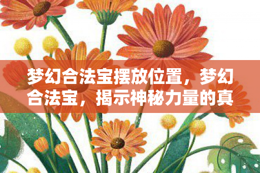 梦幻合法宝摆放位置，梦幻合法宝，揭示神秘力量的真相