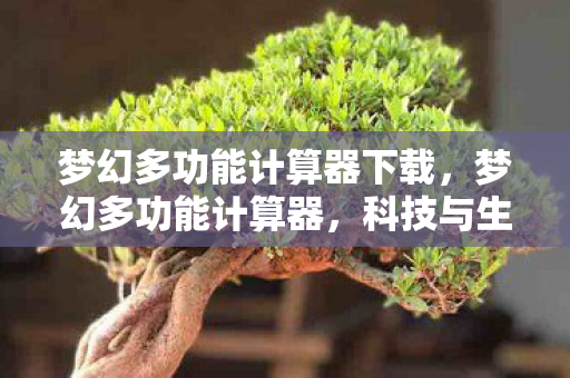 梦幻多功能计算器下载，梦幻多功能计算器，科技与生活完美融合的智能工具