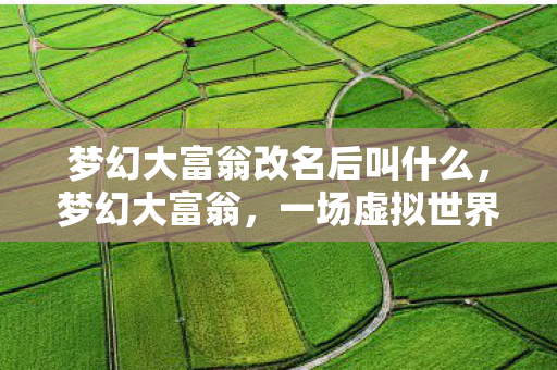 梦幻大富翁改名后叫什么,梦幻大富翁,一场虚拟世界的财富冒险之旅 梦幻大富翁改名后叫什么,梦幻大富翁,一场虚拟世界的财富冒险之旅