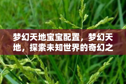 梦幻天地宝宝配置,梦幻天地,探索未知世界的奇幻之旅 梦幻天地宝宝配置,梦幻天地,探索未知世界的奇幻之旅