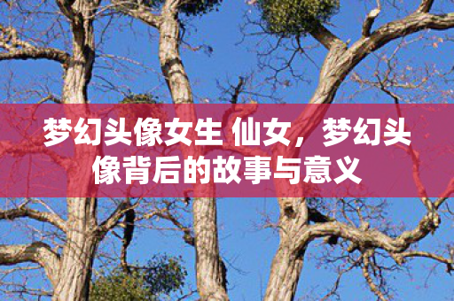 梦幻头像女生 仙女,梦幻头像背后的故事与意义 梦幻头像女生 仙女,梦幻头像背后的故事与意义