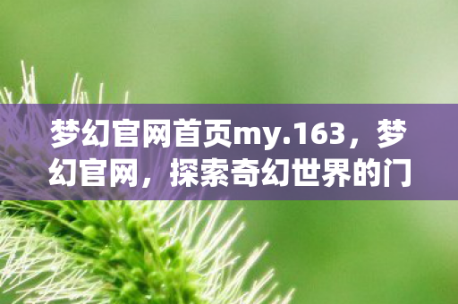 梦幻官网首页my.163,梦幻官网,探索奇幻世界的门户 梦幻官网首页my.163,梦幻官网,探索奇幻世界的门户