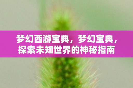 梦幻西游宝典,梦幻宝典,探索未知世界的神秘指南 梦幻西游宝典,梦幻宝典,探索未知世界的神秘指南