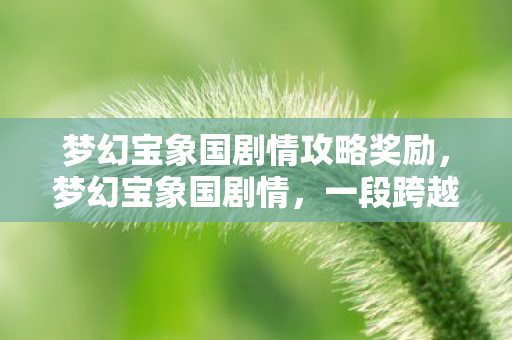 梦幻宝象国剧情攻略奖励，梦幻宝象国剧情，一段跨越神话与现实的史诗之旅