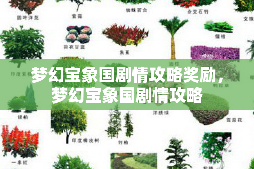 梦幻宝象国剧情攻略奖励,梦幻宝象国剧情攻略 梦幻宝象国剧情攻略奖励,梦幻宝象国剧情攻略