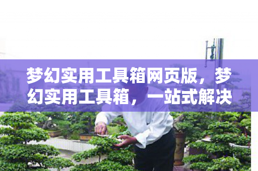 梦幻实用工具箱网页版,梦幻实用工具箱,一站式解决你的多重需求 梦幻实用工具箱网页版,梦幻实用工具箱,一站式解决你的多重需求