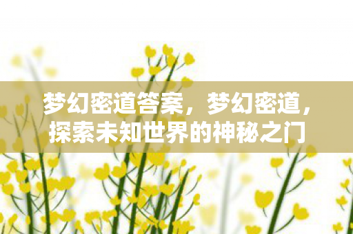 梦幻密道答案，梦幻密道，探索未知世界的神秘之门