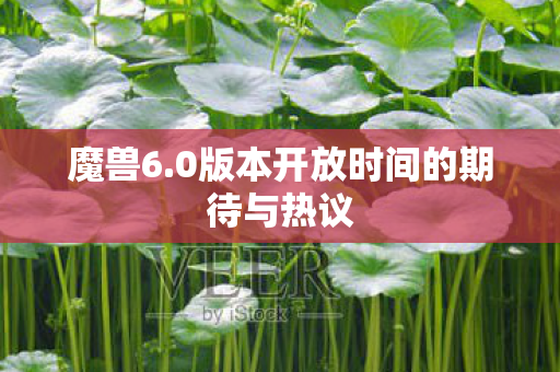 魔兽6.0版本开放时间的期待与热议