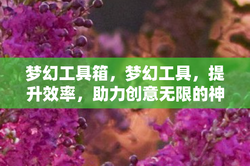梦幻工具箱,梦幻工具,提升效率,助力创意无限的神奇利器 梦幻工具箱,梦幻工具,提升效率,助力创意无限的神奇利器