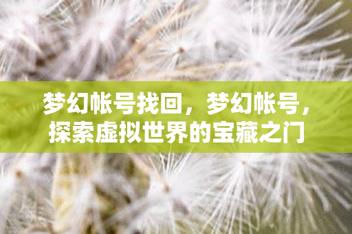 梦幻帐号找回,梦幻帐号,探索虚拟世界的宝藏之门 梦幻帐号找回,梦幻帐号,探索虚拟世界的宝藏之门