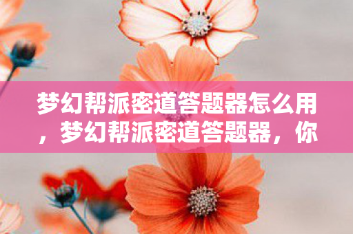 梦幻帮派密道答题器怎么用,梦幻帮派密道答题器,你的梦幻帮派冒险必备神器 梦幻帮派密道答题器怎么用,梦幻帮派密道答题器,你的梦幻帮派冒险必备神器