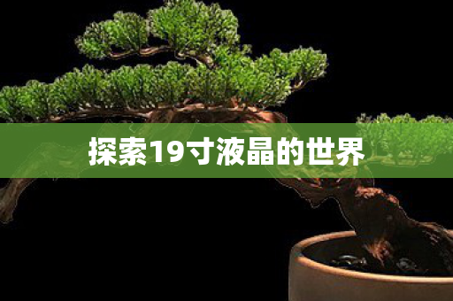 探索19寸液晶的世界