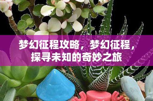 梦幻征程攻略,梦幻征程,探寻未知的奇妙之旅 梦幻征程攻略,梦幻征程,探寻未知的奇妙之旅