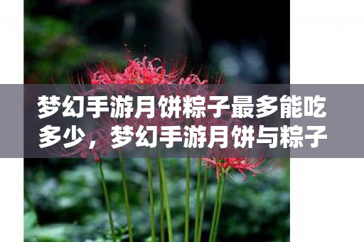 梦幻手游月饼粽子最多能吃多少,梦幻手游月饼与粽子,游戏内外的节日盛宴 梦幻手游月饼粽子最多能吃多少,梦幻手游月饼与粽子,游戏内外的节日盛宴