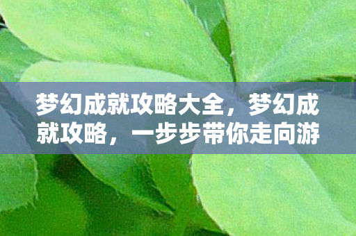 梦幻成就攻略大全,梦幻成就攻略,一步步带你走向游戏巅峰 梦幻成就攻略大全,梦幻成就攻略,一步步带你走向游戏巅峰