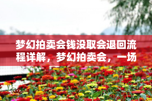 梦幻拍卖会钱没取会退回流程详解,梦幻拍卖会,一场文化与财富的盛宴 梦幻拍卖会钱没取会退回流程详解,梦幻拍卖会,一场文化与财富的盛宴