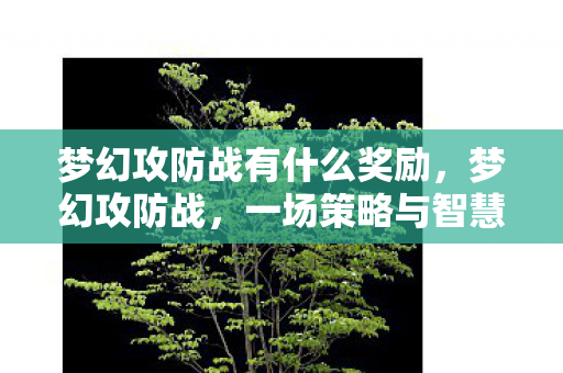 梦幻攻防战有什么奖励,梦幻攻防战,一场策略与智慧的较量 梦幻攻防战有什么奖励,梦幻攻防战,一场策略与智慧的较量