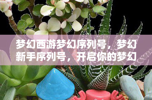 梦幻西游梦幻序列号,梦幻新手序列号,开启你的梦幻之旅 梦幻西游梦幻序列号,梦幻新手序列号,开启你的梦幻之旅