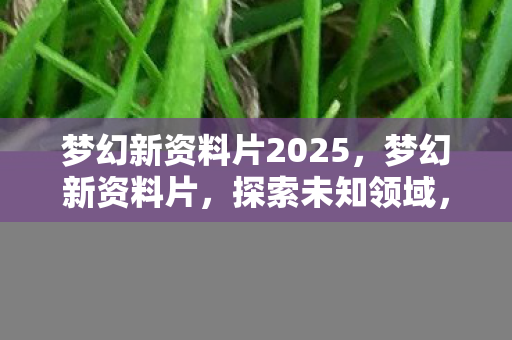 梦幻新资料片2025,梦幻新资料片,探索未知领域,开启全新篇章 梦幻新资料片2025,梦幻新资料片,探索未知领域,开启全新篇章
