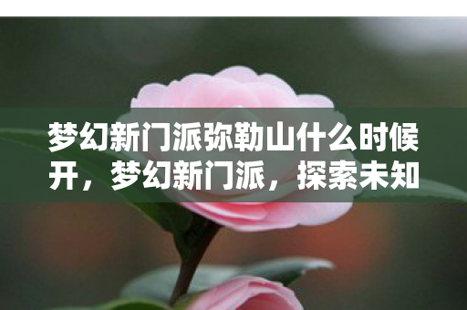 梦幻新门派弥勒山什么时候开,梦幻新门派,探索未知的力量之源 梦幻新门派弥勒山什么时候开,梦幻新门派,探索未知的力量之源