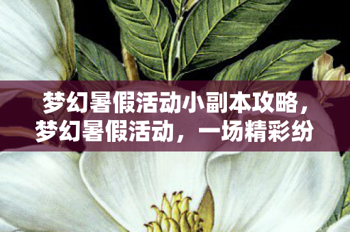 梦幻暑假活动小副本攻略,梦幻暑假活动,一场精彩纷呈的夏日盛宴 梦幻暑假活动小副本攻略,梦幻暑假活动,一场精彩纷呈的夏日盛宴