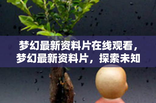 梦幻最新资料片在线观看,梦幻最新资料片,探索未知领域,开启全新篇章 梦幻最新资料片在线观看,梦幻最新资料片,探索未知领域,开启全新篇章