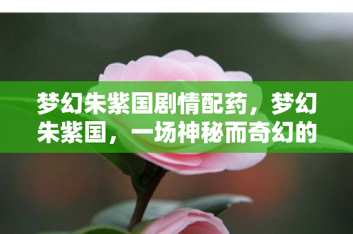 梦幻朱紫国剧情配药,梦幻朱紫国,一场神秘而奇幻的冒险之旅 梦幻朱紫国剧情配药,梦幻朱紫国,一场神秘而奇幻的冒险之旅