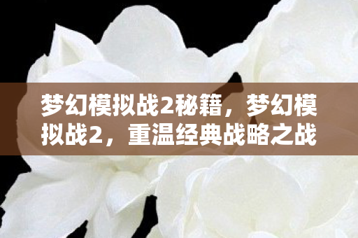 梦幻模拟战2秘籍,梦幻模拟战2,重温经典战略之战 梦幻模拟战2秘籍,梦幻模拟战2,重温经典战略之战