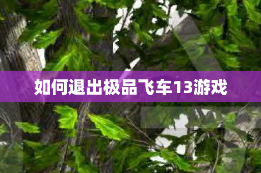 如何退出极品飞车13游戏 如何退出极品飞车13游戏
