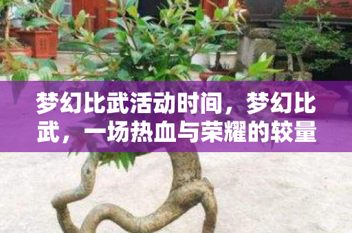 梦幻比武活动时间，梦幻比武，一场热血与荣耀的较量