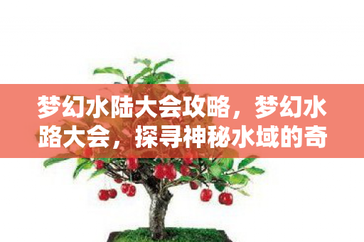 梦幻水陆大会攻略，梦幻水路大会，探寻神秘水域的奇幻之旅