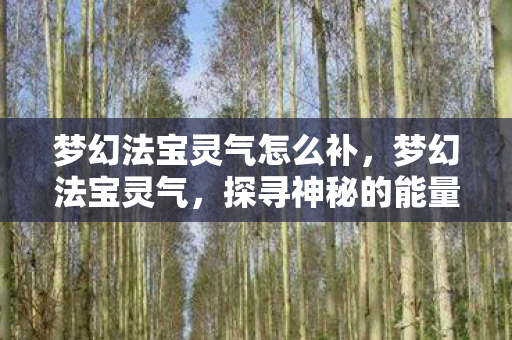 梦幻法宝灵气怎么补,梦幻法宝灵气,探寻神秘的能量之源 梦幻法宝灵气怎么补,梦幻法宝灵气,探寻神秘的能量之源