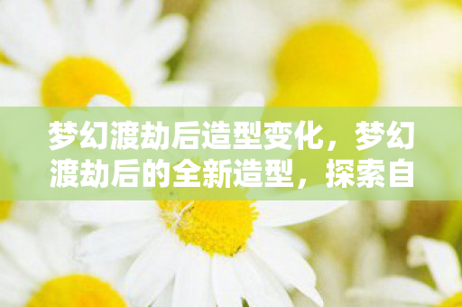 梦幻渡劫后造型变化,梦幻渡劫后的全新造型,探索自我,重塑辉煌 梦幻渡劫后造型变化,梦幻渡劫后的全新造型,探索自我,重塑辉煌