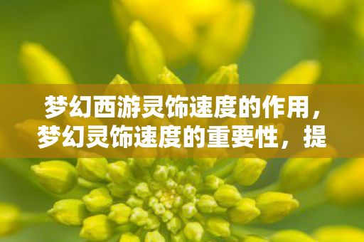 梦幻西游灵饰速度的作用，梦幻灵饰速度的重要性，提升游戏体验的关键要素