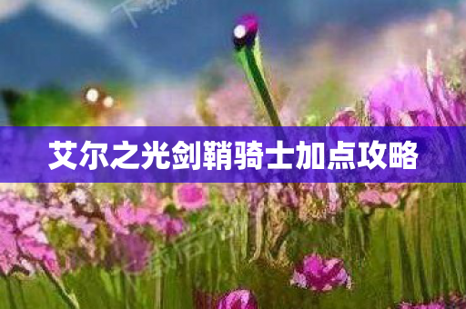 艾尔之光剑鞘骑士加点攻略 艾尔之光剑鞘骑士加点攻略