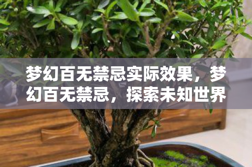 梦幻百无禁忌实际效果,梦幻百无禁忌,探索未知世界的无限可能 梦幻百无禁忌实际效果,梦幻百无禁忌,探索未知世界的无限可能