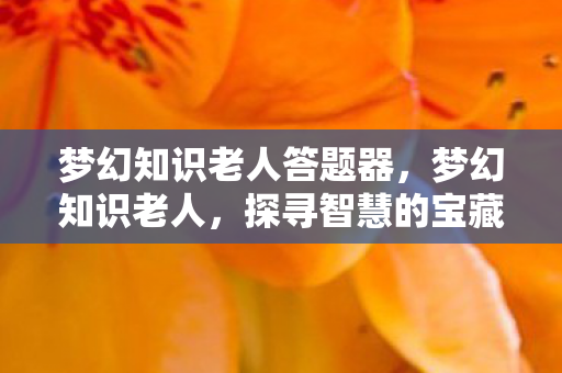 梦幻知识老人答题器,梦幻知识老人,探寻智慧的宝藏 梦幻知识老人答题器,梦幻知识老人,探寻智慧的宝藏