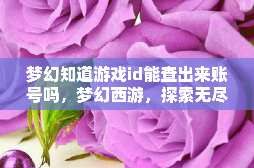梦幻知道游戏id能查出来账号吗，梦幻西游，探索无尽的奇幻世界之旅
